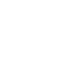 Icono