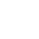 Icono